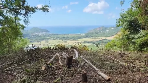 19 Acres of Ocean and Territorial Views